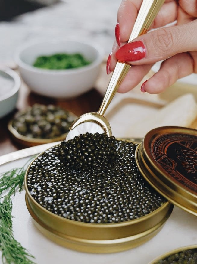 Where to Buy Fresh Caviar?